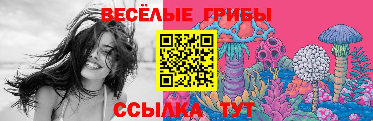купить наркотик  Псилоцибиновые грибы мицелий  Вход с VPN  Галлюциногенные грибы Cubensis  Алексин 